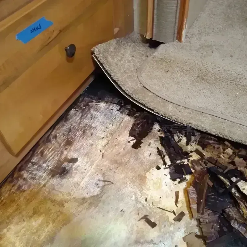 Wood Floor Water Damage in Cherokee, AL